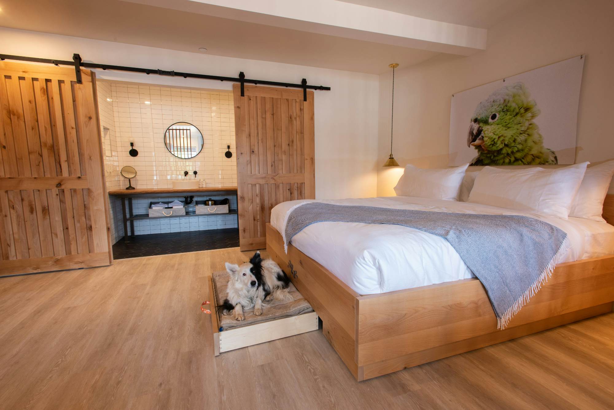 Is this the most petfriendly hotel in the world?